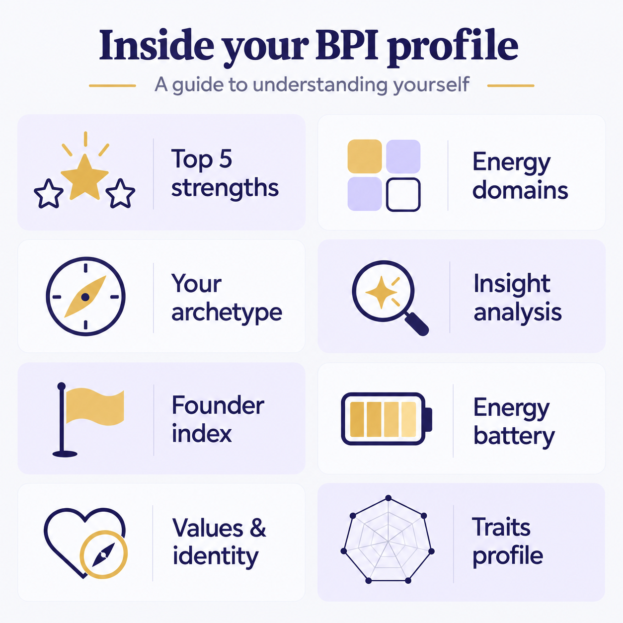 BPI profile overview: top five strengths, energy domains, archetype, insight analysis, founder index, energy battery, values and identity, and traits profile.